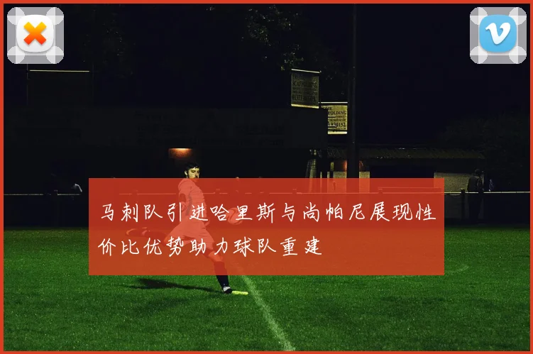 马刺队引进哈里斯与尚帕尼展现性价比优势助力球队重建