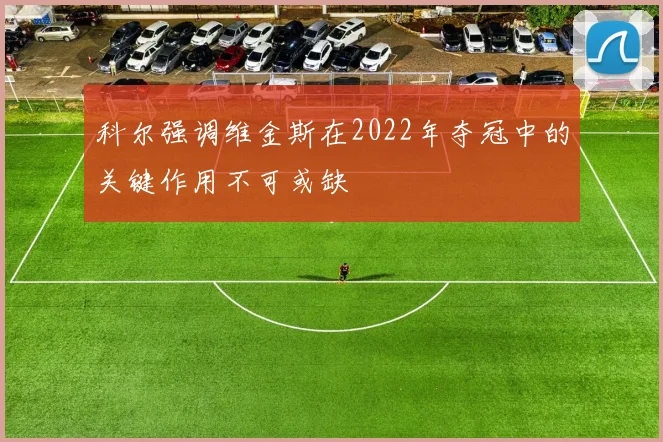 科尔强调维金斯在2022年夺冠中的关键作用不可或缺