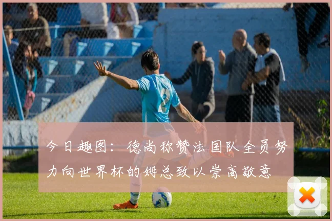 今日趣图：德尚称赞法国队全员努力向世界杯的姆总致以崇高敬意